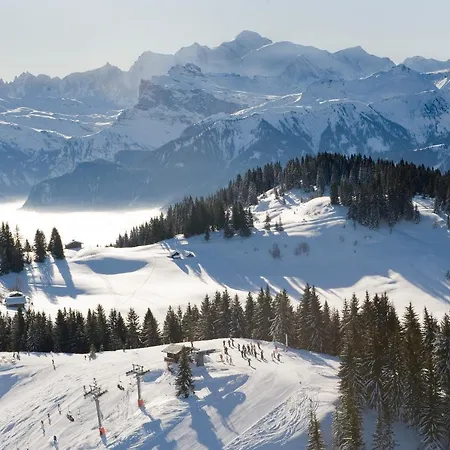 Mirois - Montagne 26 Ski-in On The Slopes In Les Crosets *